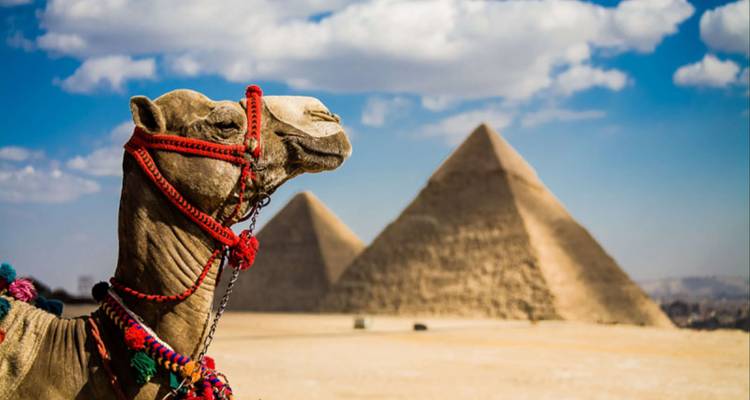 Discover Egypt in 9 Days