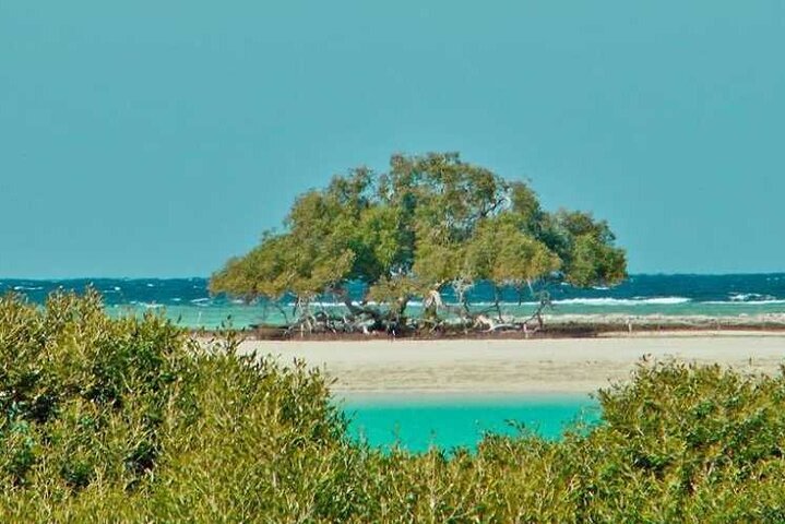 Private Trip to sharm el Lulli and wadi el Qulaan from Marsa Alam